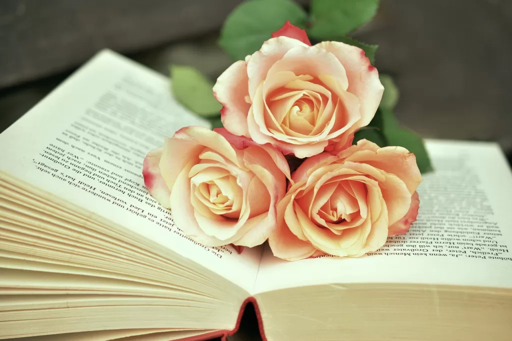 مراحل طلاق توافقی