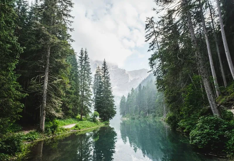 خرید زمین منابع طبیعی